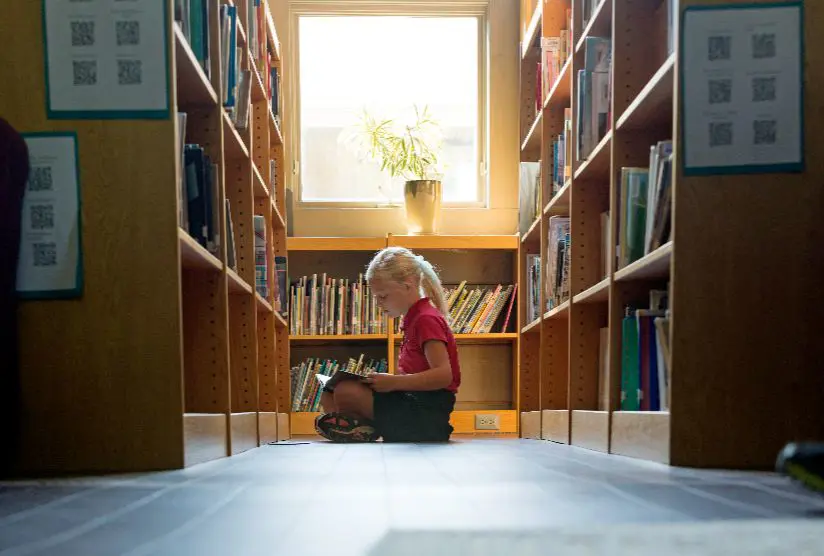 Student reading in library