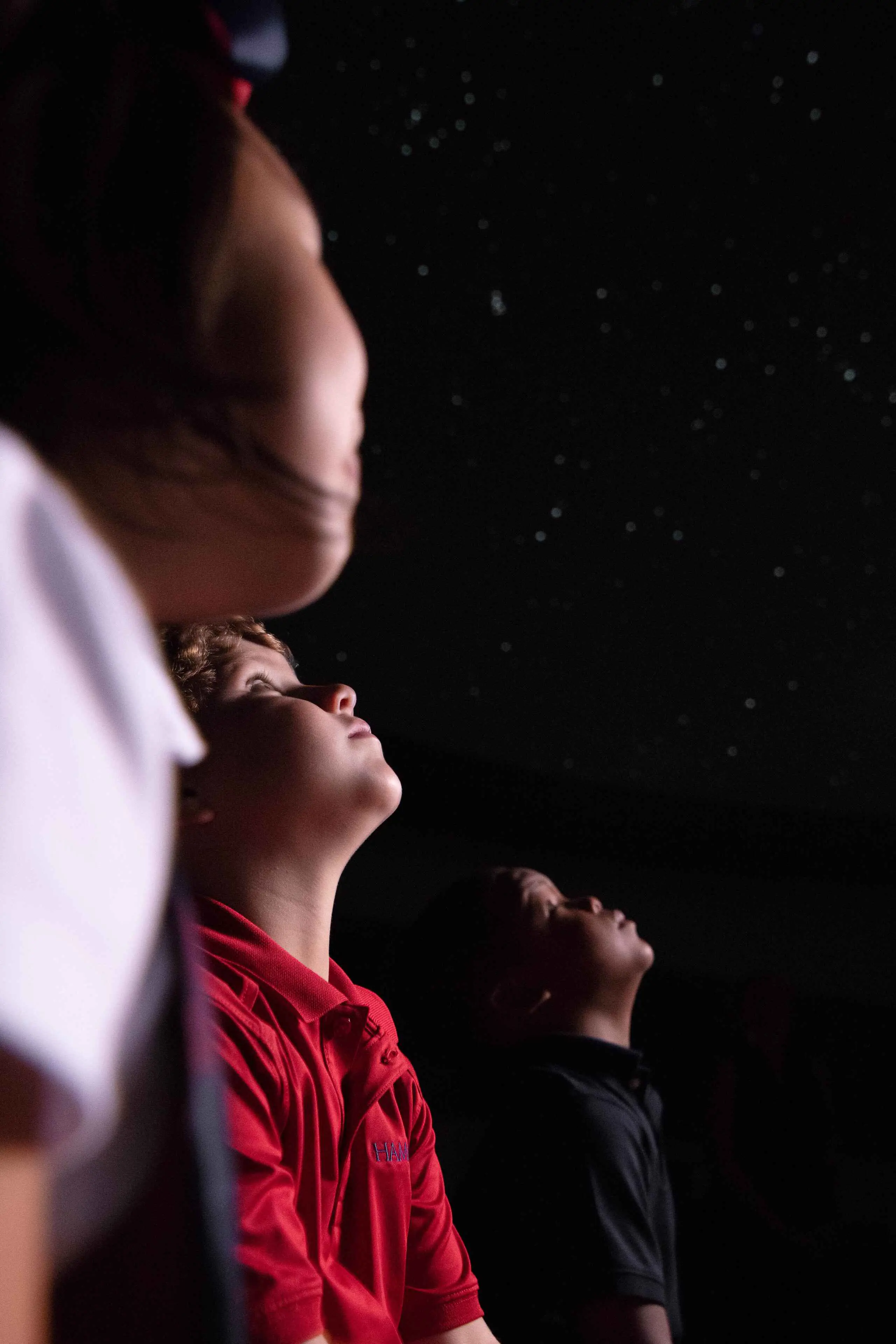 OptimizedImage,Optimized