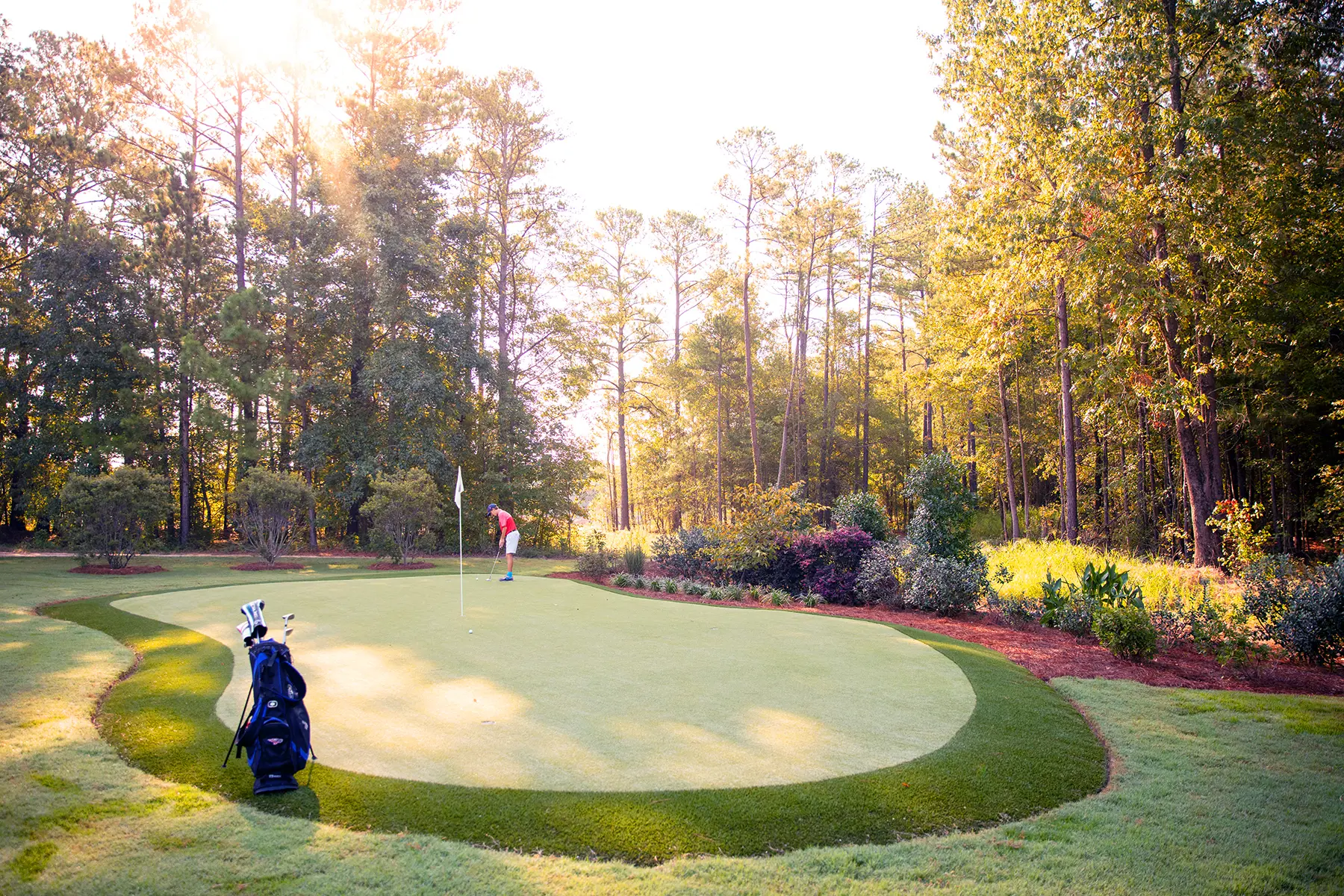 OptimizedImage,,,Optimized