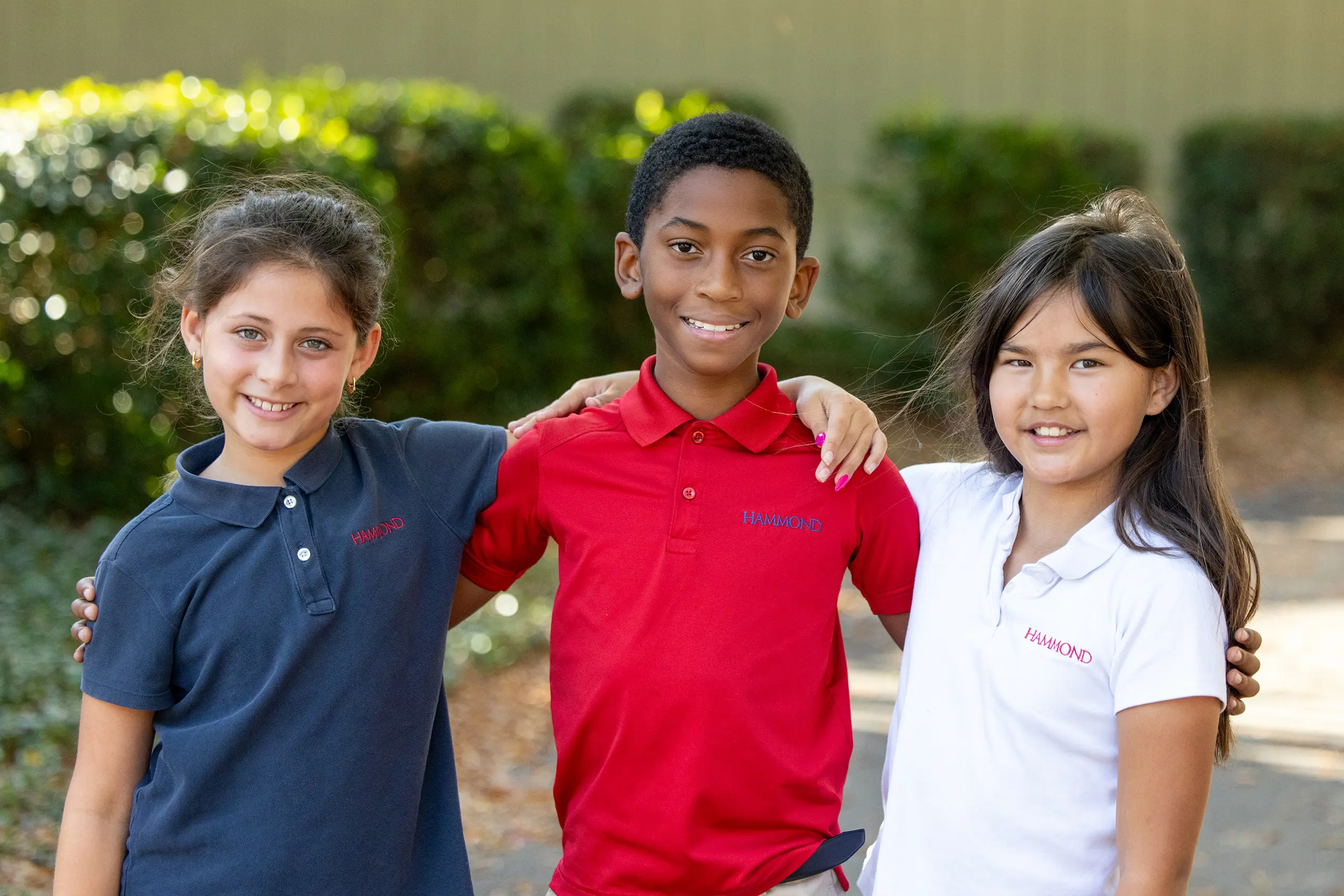 OptimizedImage,,,Optimized
