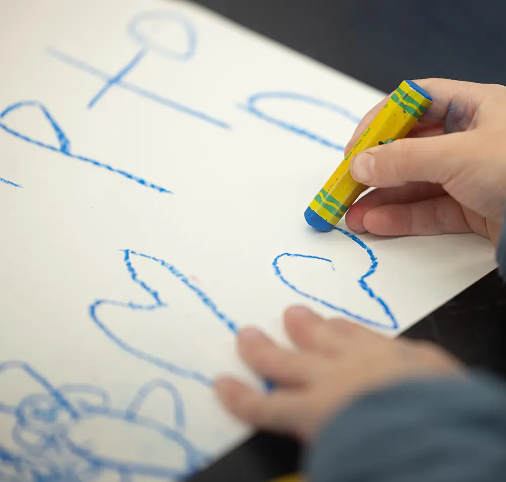 OptimizedImage,,,Optimized