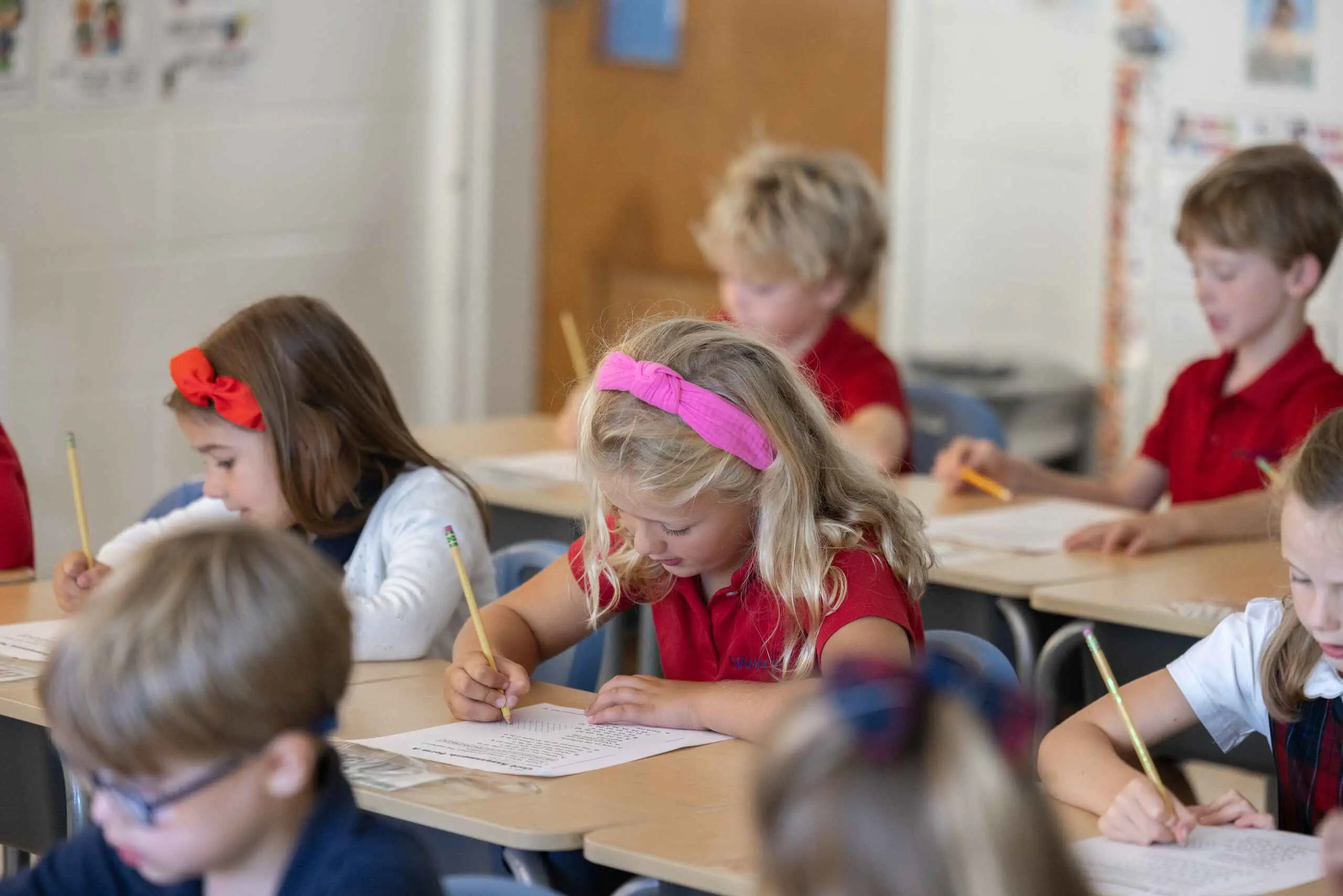  OptimizedImage,Optimized