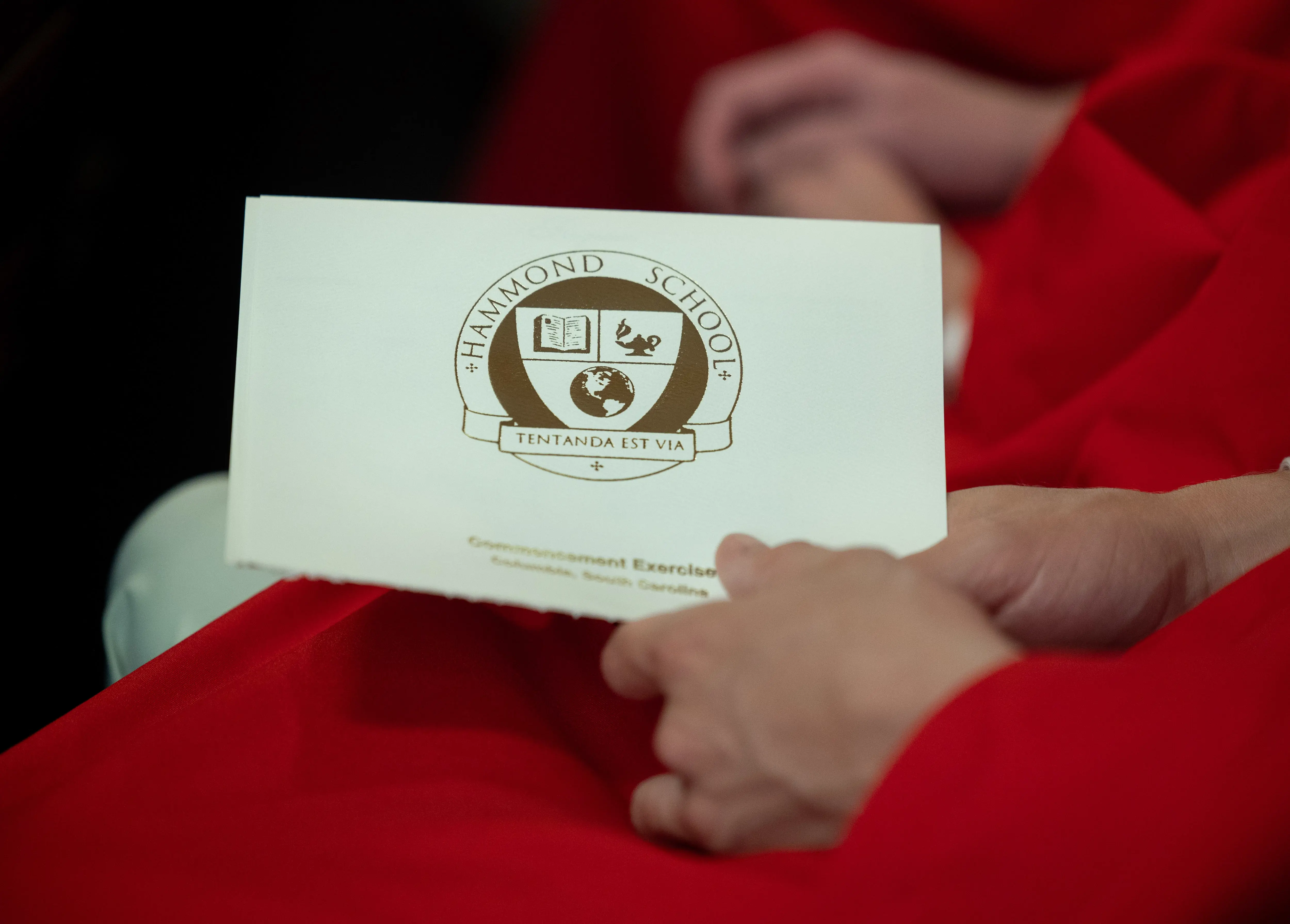 OptimizedImage,,,Optimized