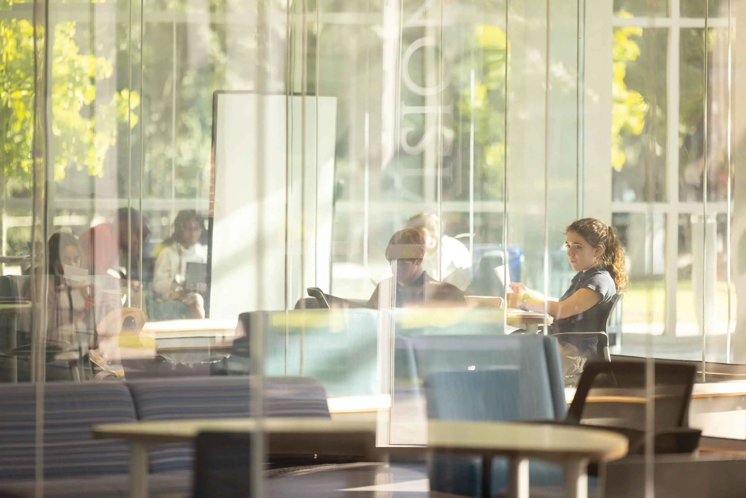  OptimizedImage,Optimized