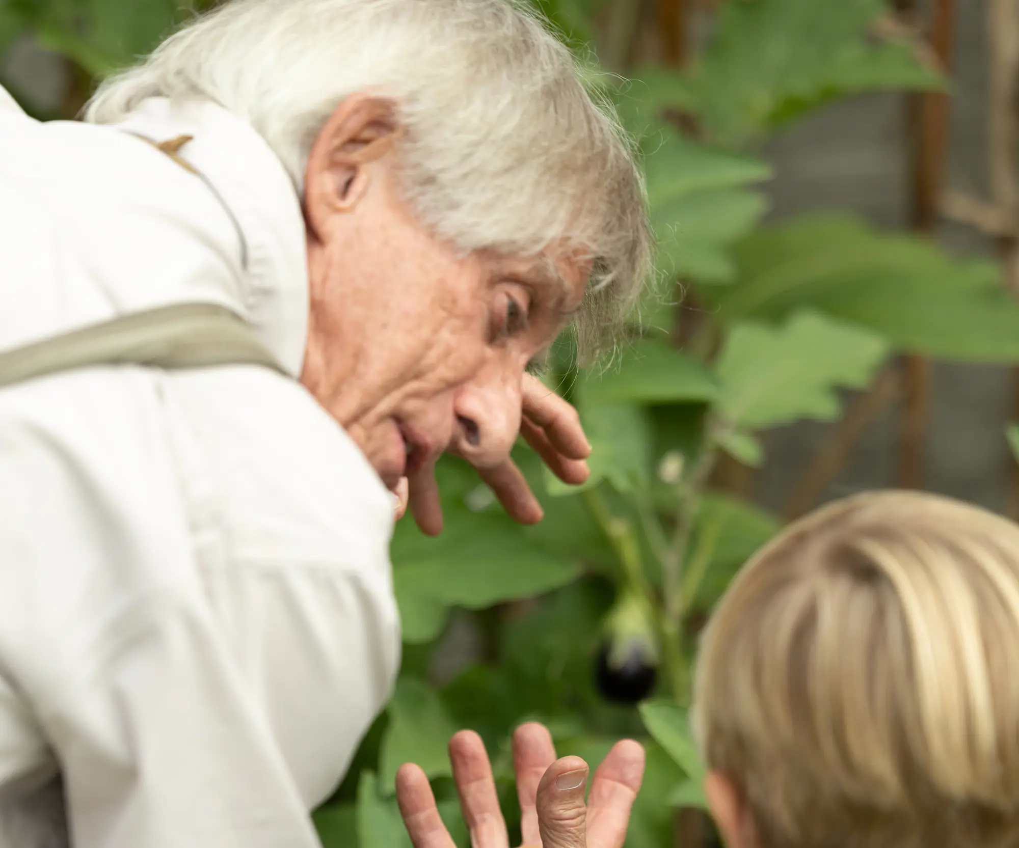  OptimizedImage,,,Optimized