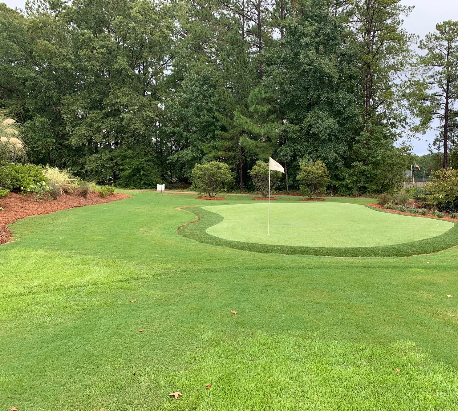 Teeing Up Success