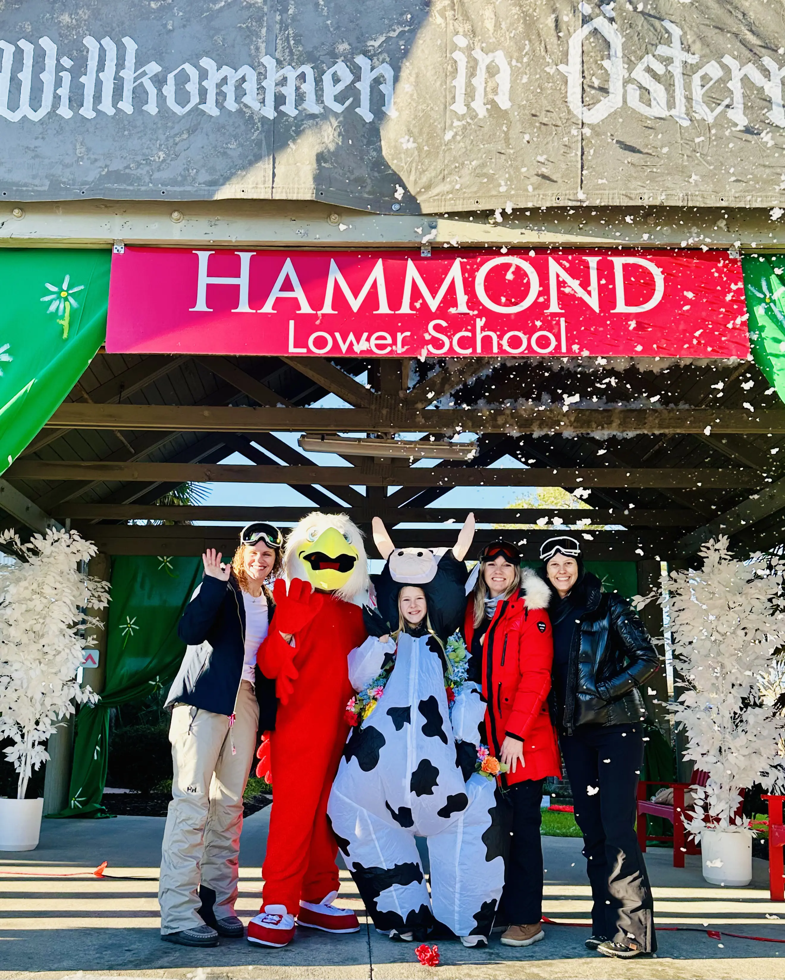 OptimizedImage,,,Optimized