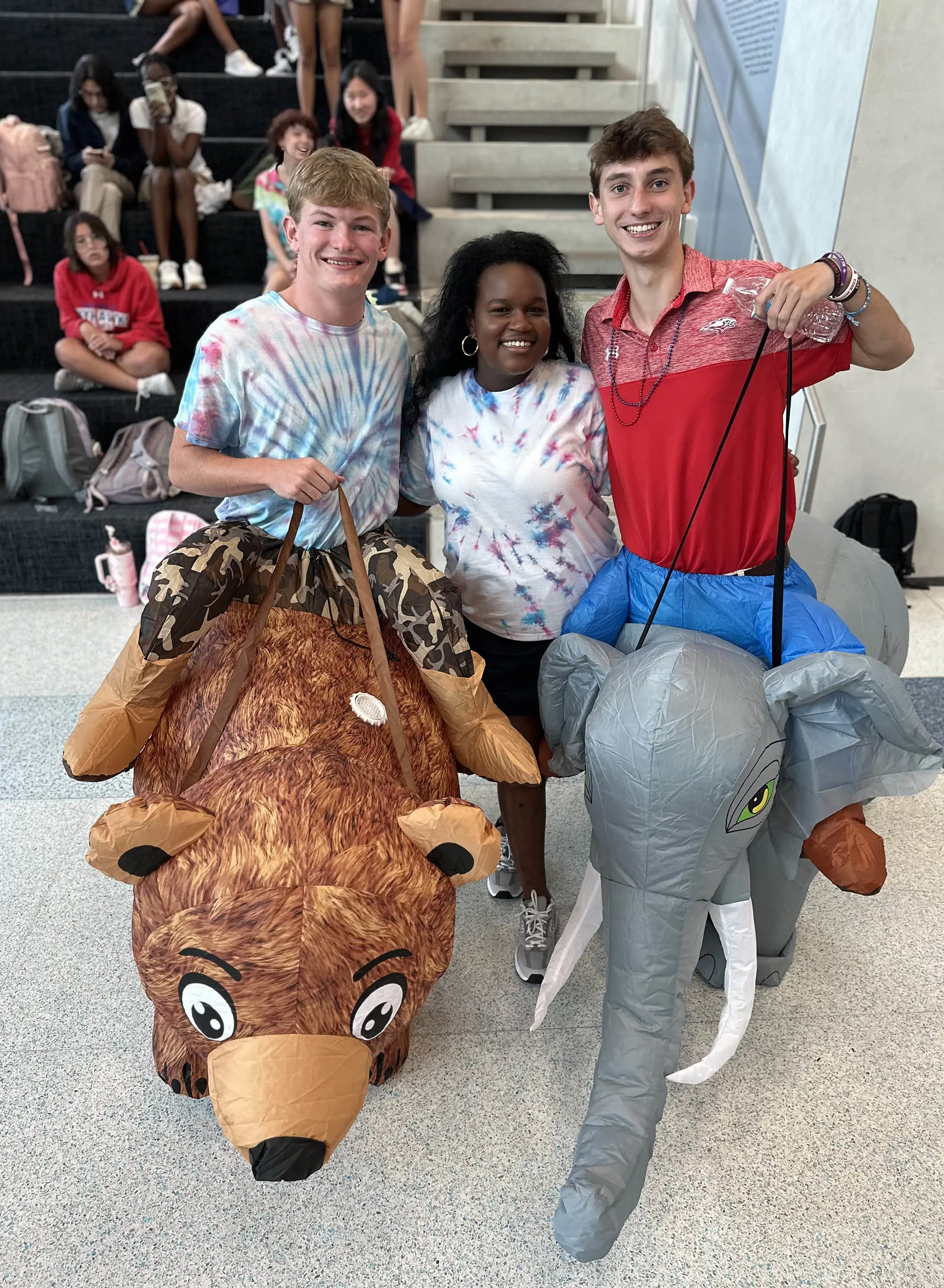 OptimizedImage,,,Optimized