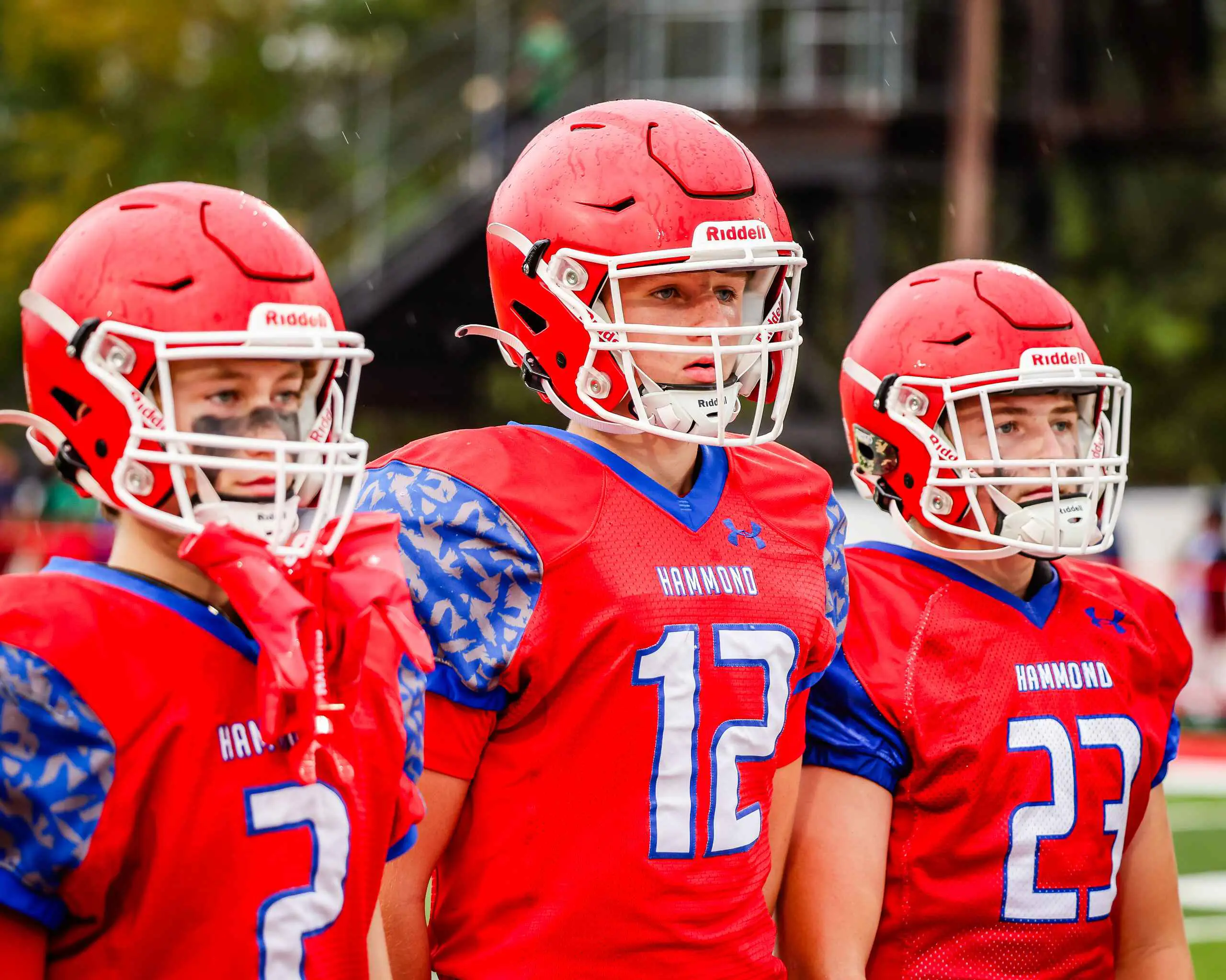  OptimizedImage,Optimized